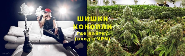 сатива Абаза
