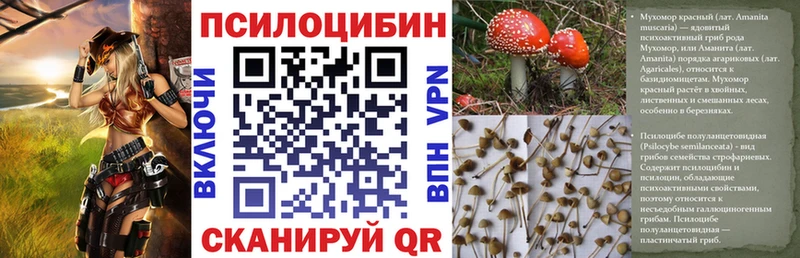 Псилоцибиновые грибы GOLDEN TEACHER  kraken как войти  Благодарный 