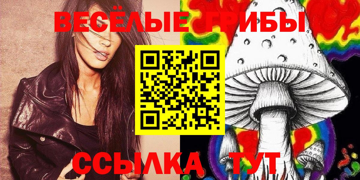 Благодарный  Псилоцибиновые грибы Cubensis  Галлюциногенные грибы Psilocybe  Вход с VPN 