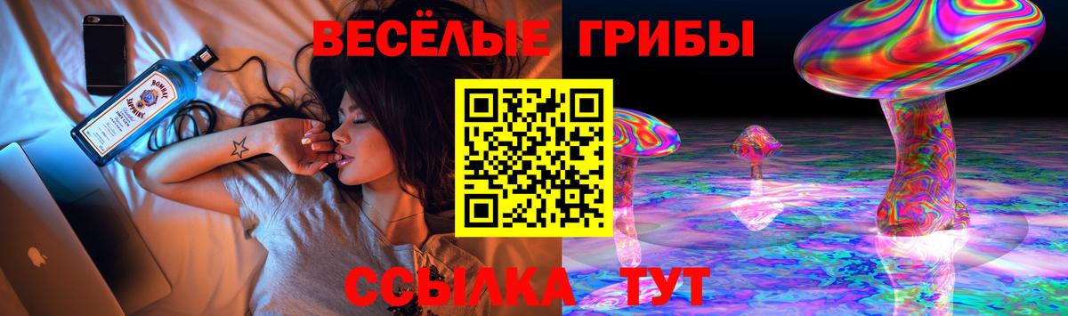 Галлюциногенные грибы Psilocybe Благодарный